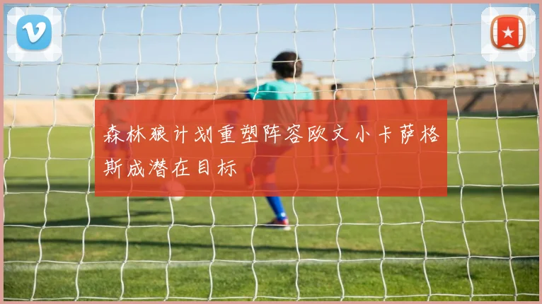 森林狼计划重塑阵容欧文小卡萨格斯成潜在目标
